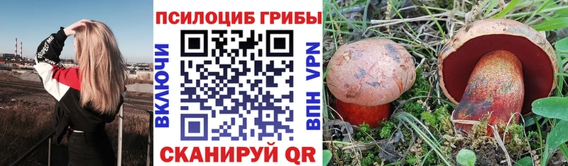 Псилоцибиновые грибы Cubensis  Заозёрный 